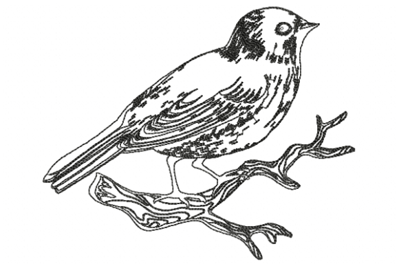 Bird Line: A Seasonal Embroidery Design Worth Building Around