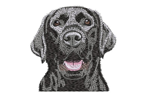 Black Lab Embroidery Design