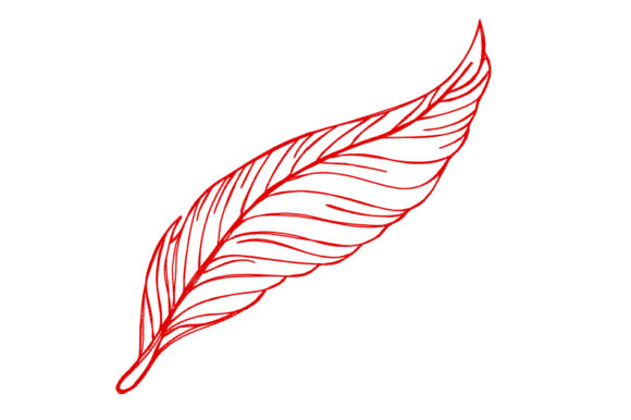Feather Continuous Line